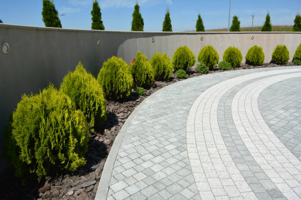 Best Driveway Paving Contractor  in Carbondale, IL